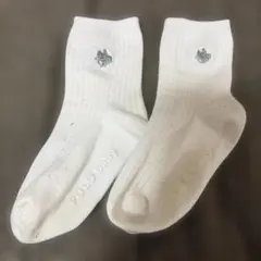POLO baby キッズ　ベビー　ソックス　靴下　白