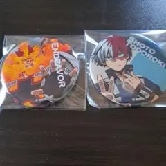 僕のヒーローアカデミア エンデヴァー 轟焦凍