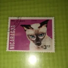 Item thumbnail for item d884a5fe-a272-4cd0-9698-3d404394e7df