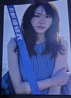 月刊新垣結衣SPECIAL 月刊新垣結衣 SPECIAL SHINCHO MOOK(宮本和英 編