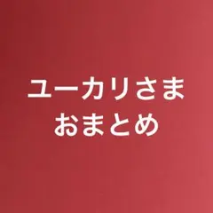 ユーカリ様 リクエスト 2点 まとめ商品