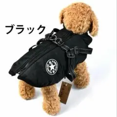 Item thumbnail for item d100f9f8-babe-43c5-8d58-6bf137d70cf1