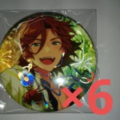 あんスタ 中国 星光 缶バッジ 三毛縞斑