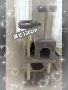 Item thumbnail for item 2027d6b5-a4f2-49bd-85c4-fdc3bd9d4838