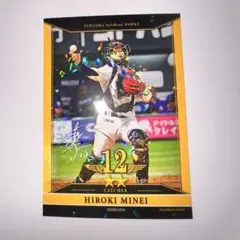 嶺井博希 タカコレくじ vol.2