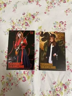 高見沢俊彦 ミュージシャン