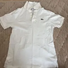 LACOSTE ホワイト ポロシャツ US S メンズシャツ