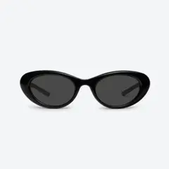 登坂広臣、BTSテテ着用CELINE トリオンフサングラス ケース付き - メルカリ