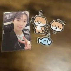 2026年最新】ミニティーン seventeen ディノの人気アイテム - メルカリ