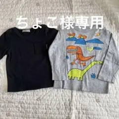 【まとめ売り】90-95cm 男の子 長袖Tシャツ 2点セット
