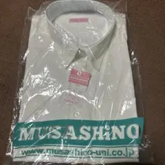 Item thumbnail for item bec3c96f-32dc-4f02-a925-875df661396a