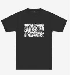 北海道マラソン 2025 Tシャツ Lサイズ