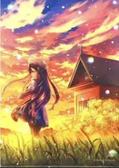 anemoi 有償特典「Na-Ga先生描き下ろしタペストリー辻倉朱比華