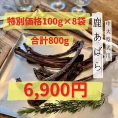 Item thumbnail for item f1e62cb6-615e-4795-98d0-7cf65232b84c