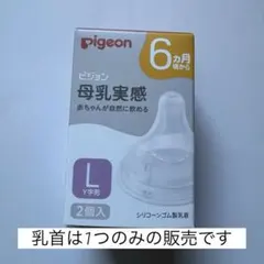 Pigeon 母乳実感 6ヶ月 L 乳首 1個 ピジョン