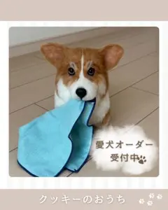 2026.08再開予定★羊毛フェルトで愛犬オーダー受付中(全身)