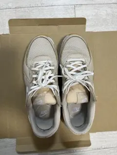 Item thumbnail for item 109befbc-31db-4aca-992e-e157a2183f82