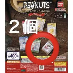 PEANUTS パッケージミニチュアコレクション