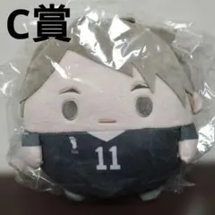 ハイキュー くじメイト ぬいくじ C賞 ふわコロりん Мサイズ 宮治 1
