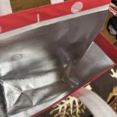 Item thumbnail for item 42a8e7d5-ade5-4f81-8764-6c84e7c57787