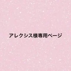 専用ページ