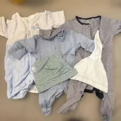 ファミリア含む50-60cm