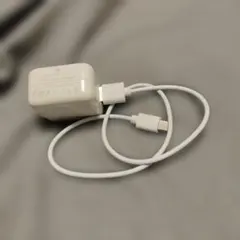 Apple 純正 USB 充電器 電源アダプター A1357