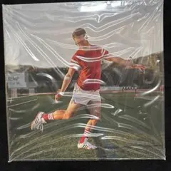 2026年最新】vulfpeck レコードの人気アイテム - メルカリ