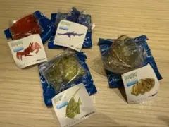 アースピースオーシャンシーズン2 ズワイガニ　ノコギリザメ　ツノダシ　シャコガイ