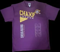 Item thumbnail for item aa748ae1-f685-4152-bc2c-8714ecfa8033