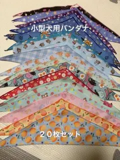 Item thumbnail for item 78a1ed88-aca3-4073-88af-289b2a23d6e5