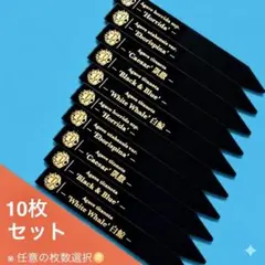 2026年最新】プランツタグ アガベの人気アイテム - メルカリ