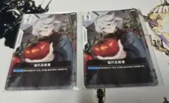 【未開封】ニュータイプチャレンジ 溢れる慈愛　2枚セット