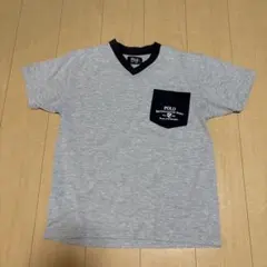 POLO グレー Vネック Tシャツ M