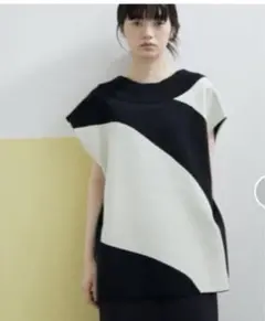 アダムエロペ ニットベストプルオーバーのサムネイル