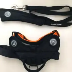 Item thumbnail for item f4a1c01f-db10-48a9-98ef-87051194bd89