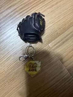阪神タイガース球場限定 直筆サイン入り シークレットキーホルダー 41