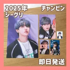 【即日発送】straykids シーグリ 2025 チャンビン おまけ付き