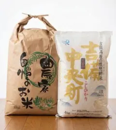 ニコル 一膳 豚ドライフード 2kg×3 ニコル様専用 一膳 豚ドライフード3袋セット 2kg×3 - メルカリ