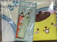 サンリオ　くじ　ペアキーホルダー　レジャーシート　ポチャッコ