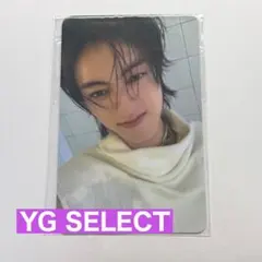 TREASURE LOVE PULSE YGSELECT ハルト