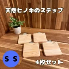 Item thumbnail for item d2952d91-60be-47f7-a056-8b510d1c4ccc