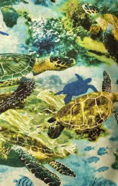 Item thumbnail for item 07727d3a-a1fa-4f86-9f23-decbec0a4c3d