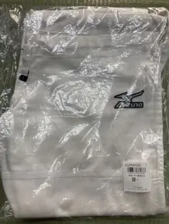 Item thumbnail for item 593022c1-2401-4395-8b21-c521dbfcc2a0