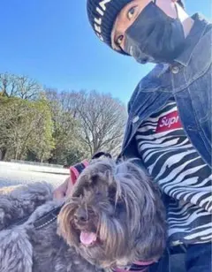 木村拓着Supreme Box Logo Crewneck zebra 22AW