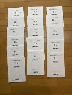 2026年最新】サピックス 6年 年間テストの人気アイテム - メルカリ