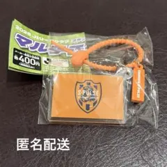 【匿名配送】Jリーグクラブ　マルチチャーム　清水エスパルス