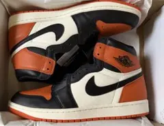 Nike Air Jordan 1 High OG シャタバ