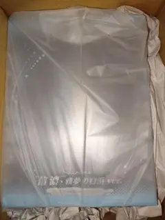 アズールレーン 信濃 雅夢の白浜Ver.1/6フィギュアあみあみ×AniGame