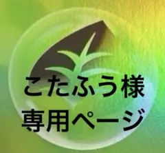こたふう様　専用ページ　まとめ売り